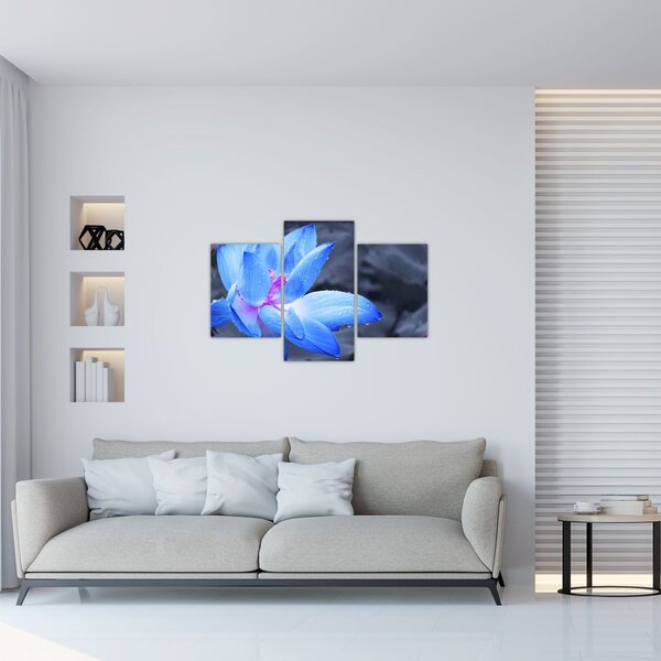 Tablou florilor în detailu (90x60 cm)