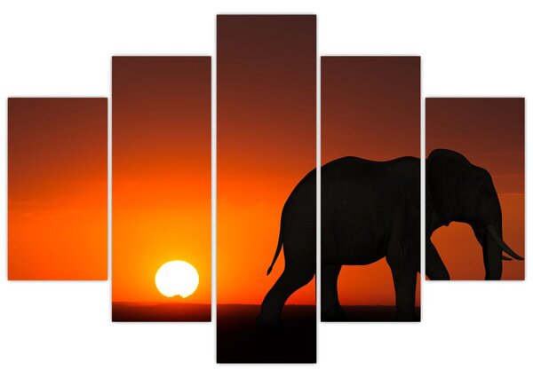 Tablou cu elefant în apus de soare (150x105 cm)