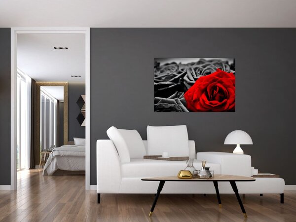 Tablou - Flori de trandafir (90x60 cm)