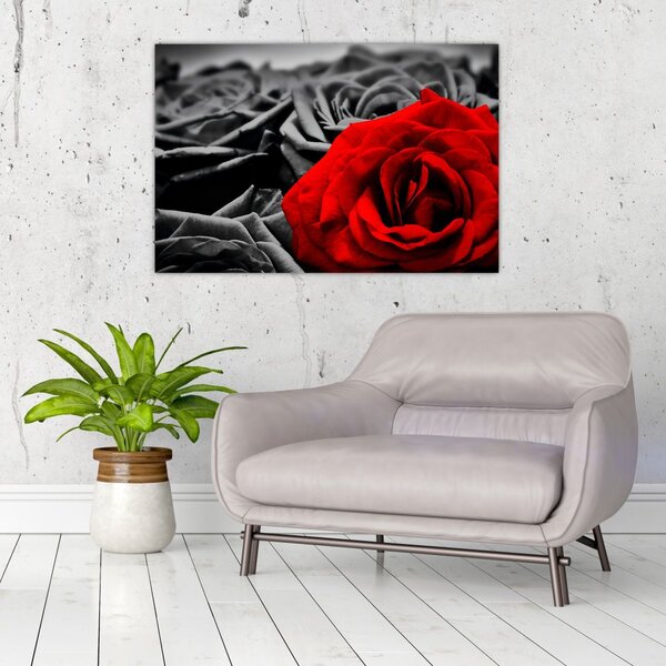 Tablou - Flori de trandafir (90x60 cm)