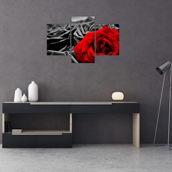 Tablou - Flori de trandafir (90x60 cm)