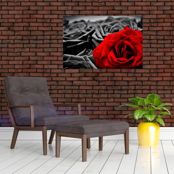 Tablou - Flori de trandafir (90x60 cm)