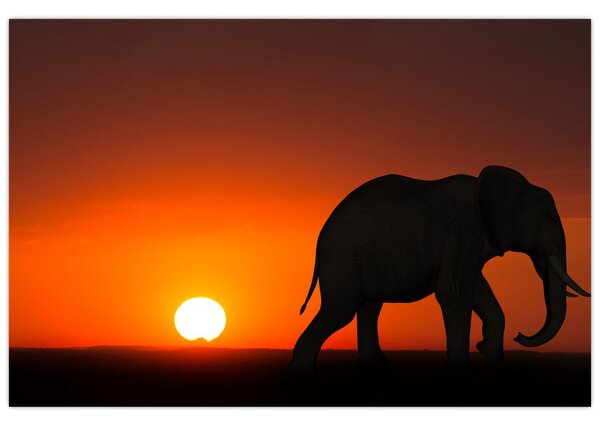 Tablou cu elefant în apus de soare (90x60 cm)