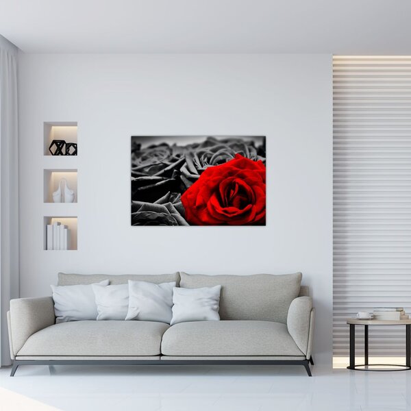 Tablou - Flori de trandafir (90x60 cm)