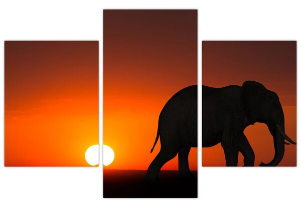 Tablou cu elefant în apus de soare (90x60 cm)