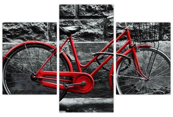Tablou - Bicicleta istorică (90x60 cm)