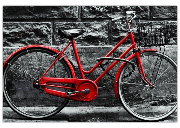 Tablou - Bicicleta istorică (90x60 cm)