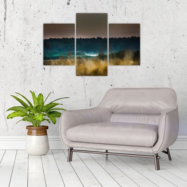Tablou - Peisaj de munte (90x60 cm)
