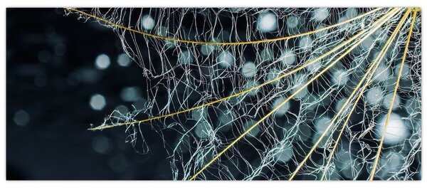 Tablou - Floare cu pânză de pâianjen (120x50 cm)