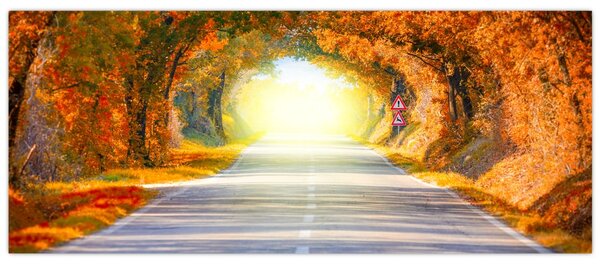 Tablou - Poarta din copaci (120x50 cm)