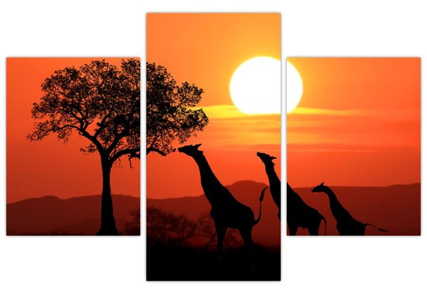 Tablou cu girafe în apus de soare (90x60 cm)