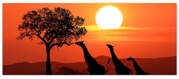 Tablou cu girafe în apus de soare (120x50 cm)