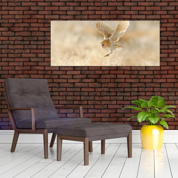 Tablou - Bufnița roșie (120x50 cm)