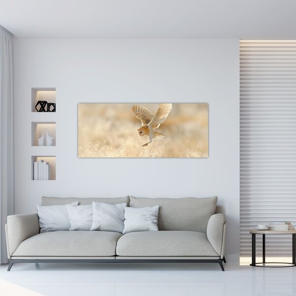 Tablou - Bufnița roșie (120x50 cm)