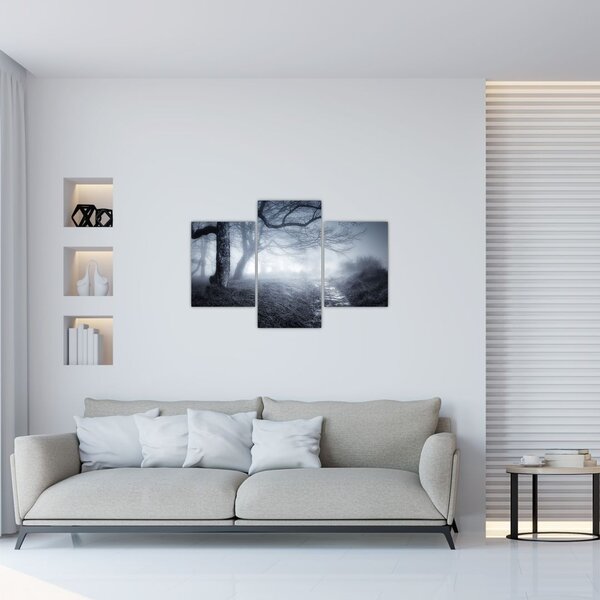 Tablou - Drum pin ceață (90x60 cm)