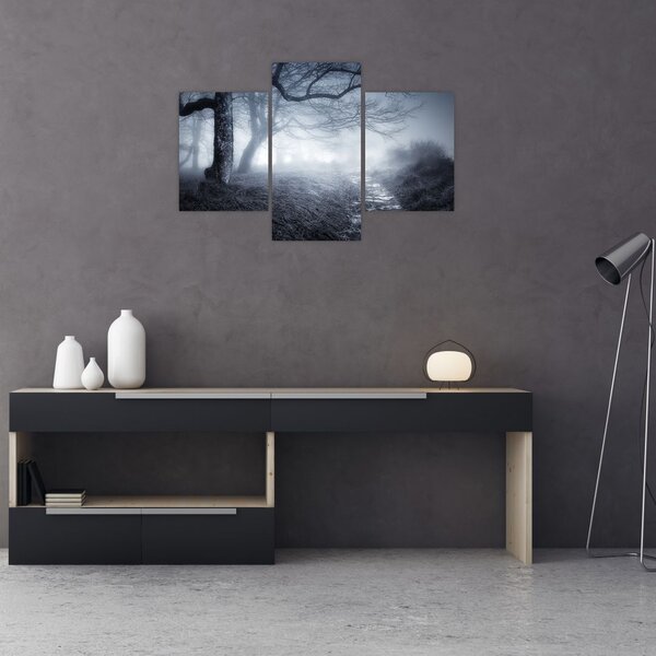 Tablou - Drum pin ceață (90x60 cm)