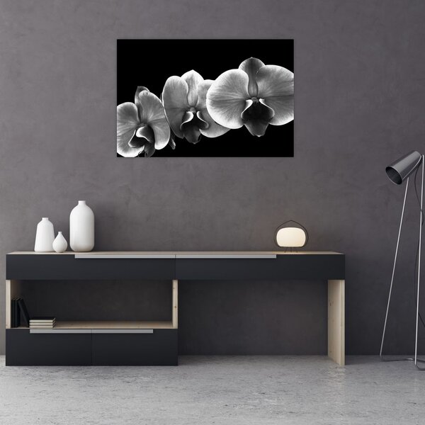Tablou floare de orhidee (90x60 cm)