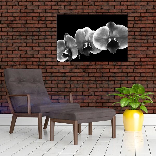 Tablou floare de orhidee (90x60 cm)
