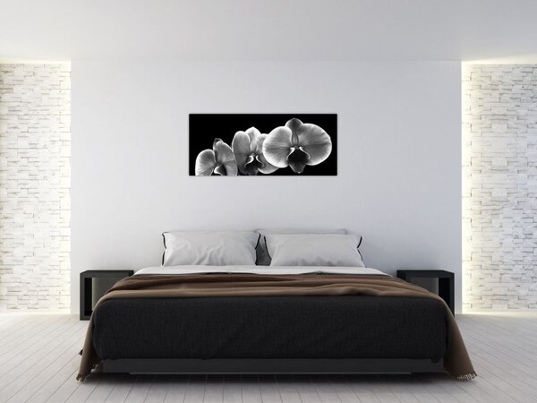 Tablou floare de orhidee (120x50 cm)