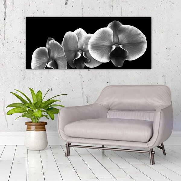 Tablou floare de orhidee (120x50 cm)