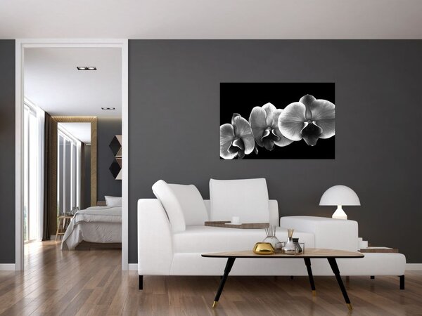 Tablou floare de orhidee (90x60 cm)