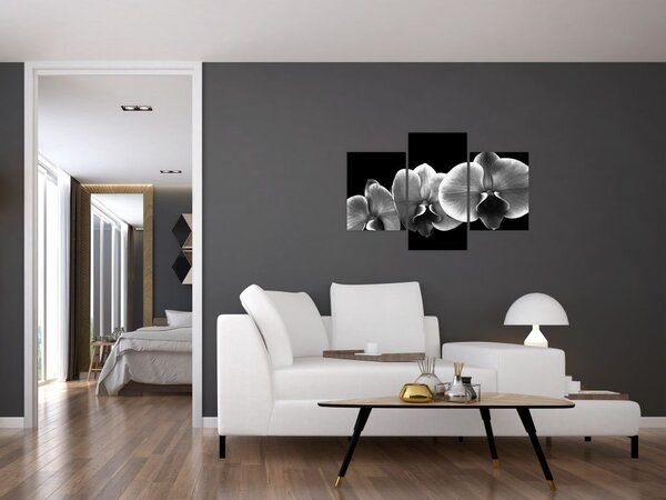 Tablou floare de orhidee (90x60 cm)