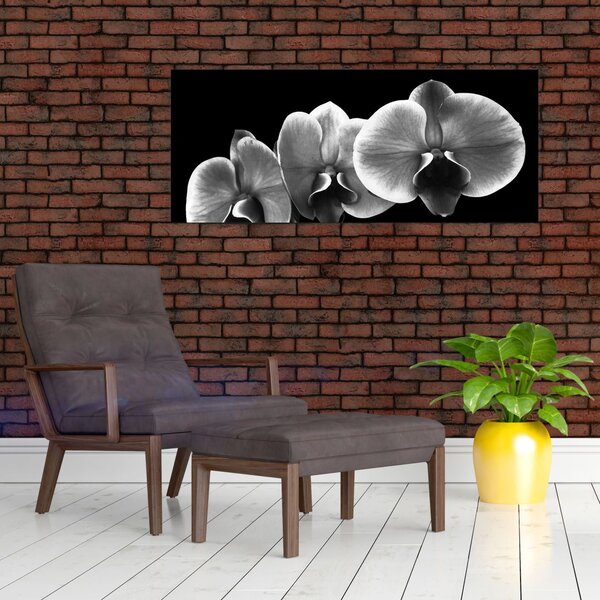 Tablou floare de orhidee (120x50 cm)