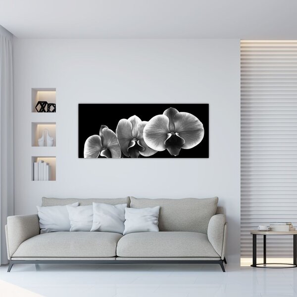 Tablou floare de orhidee (120x50 cm)
