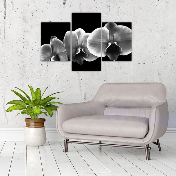 Tablou floare de orhidee (90x60 cm)