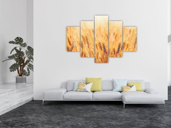 Tablou - câmp cu grâne (150x105 cm)
