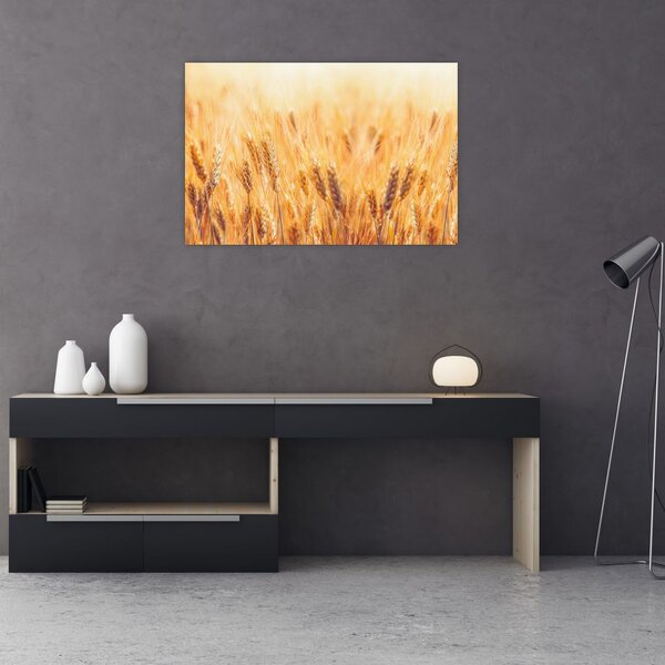 Tablou - câmp cu grâne (90x60 cm)