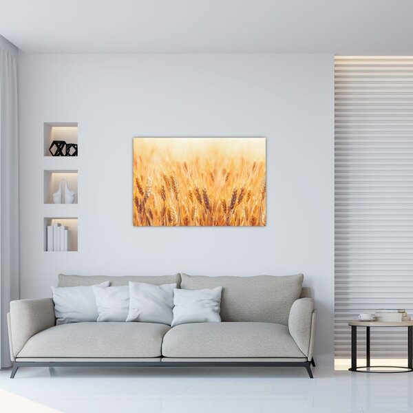 Tablou - câmp cu grâne (90x60 cm)