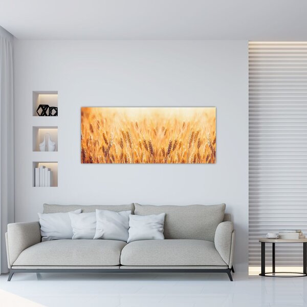 Tablou - câmp cu grâne (120x50 cm)