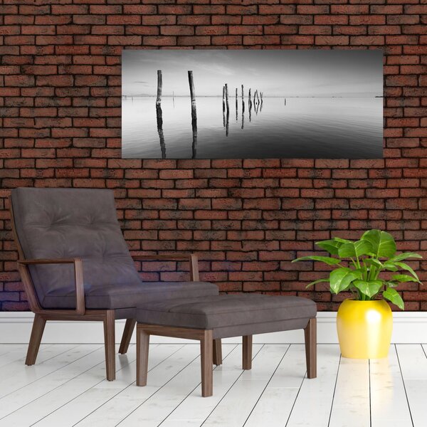 Tablou cu nivelul de lac alb negru (120x50 cm)