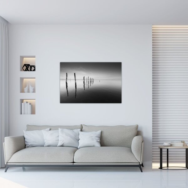 Tablou cu nivelul de lac alb negru (90x60 cm)