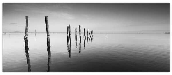 Tablou cu nivelul de lac alb negru (120x50 cm)