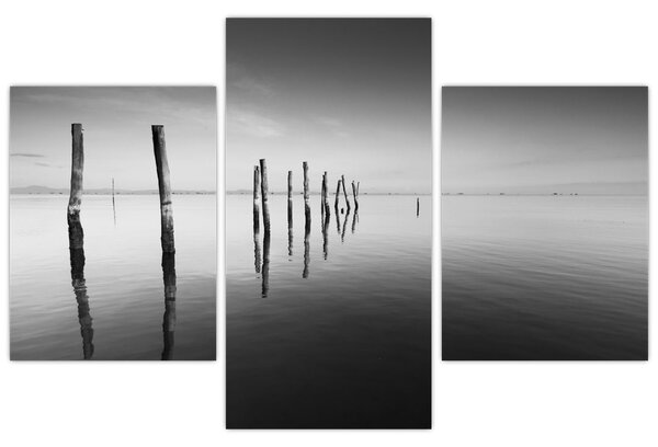 Tablou cu nivelul de lac alb negru (90x60 cm)