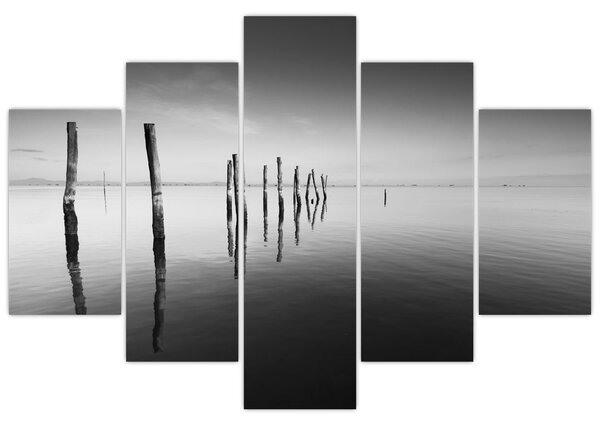 Tablou cu nivelul de lac alb negru (150x105 cm)