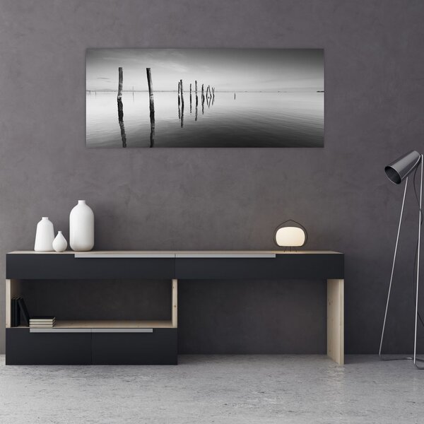 Tablou cu nivelul de lac alb negru (120x50 cm)