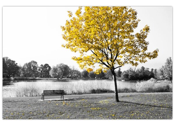 Tablou - relaxare în parc (90x60 cm)