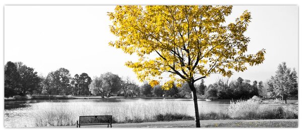 Tablou - relaxare în parc (120x50 cm)