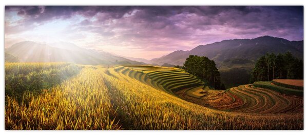 Tablou peisajului (120x50 cm)