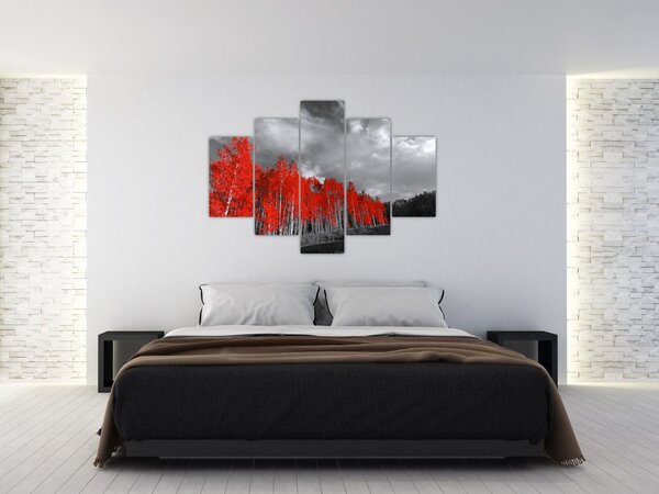 Tablou - Copaci în culorile toamnei (150x105 cm)