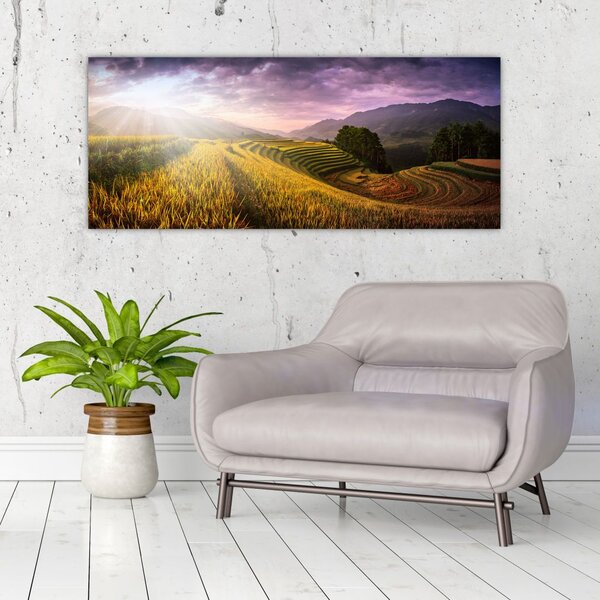 Tablou peisajului (120x50 cm)