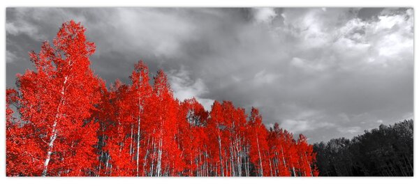 Tablou - Copaci în culorile toamnei (120x50 cm)