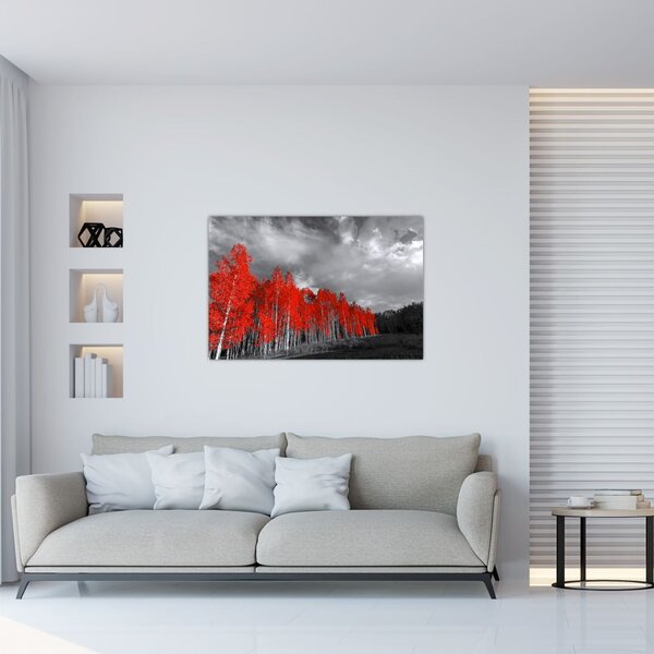 Tablou - Copaci în culorile toamnei (90x60 cm)