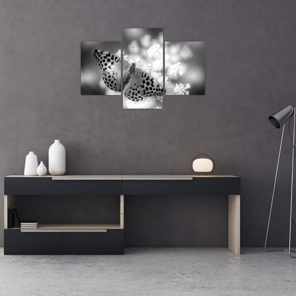 Tablou - Detailu cu fluture care polenizează floare (90x60 cm)