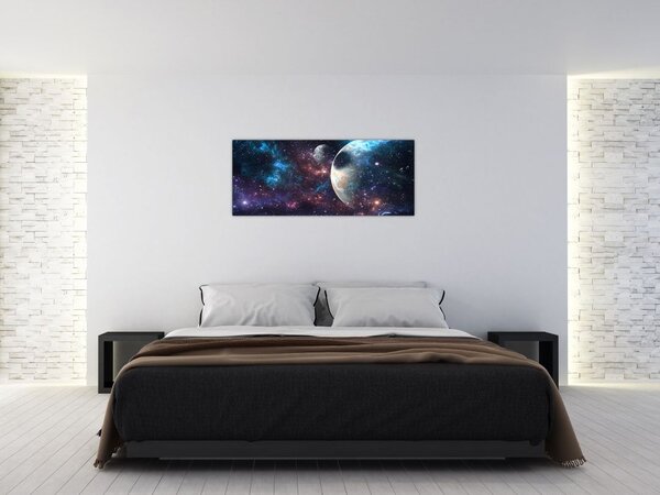 Tablou cu cosmos (120x50 cm)