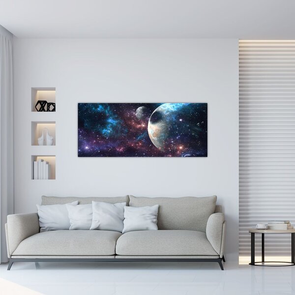 Tablou cu cosmos (120x50 cm)