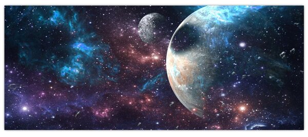Tablou cu cosmos (120x50 cm)